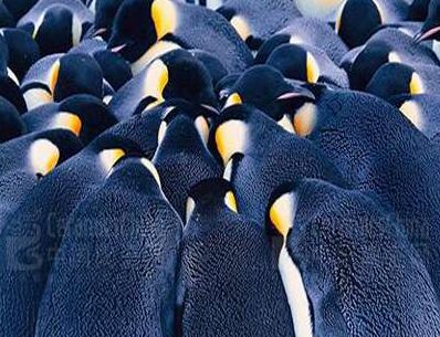 ʽFԞ(zhn)sF(tun)ȡů